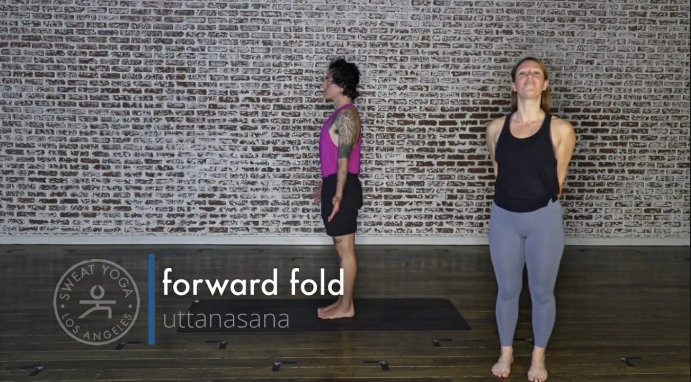 Forward-Fold-Hot-Yoga-Los-Angeles-LA-Manhattan-Beach-Downtown-LA-Santa-Monica-Playa-Vista-West-Hollywood-Yoga-Teacher-Training