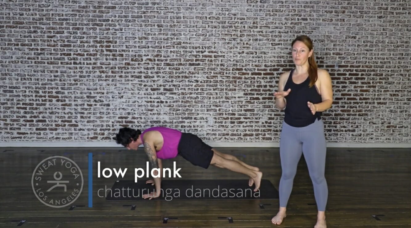 Low-Plank-Hot-Yoga-Los-Angeles-LA-Manhattan-Beach-Downtown-LA-Santa-Monica-Playa-Vista-West-Hollywood-Yoga-Teacher-Training